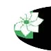 image--043