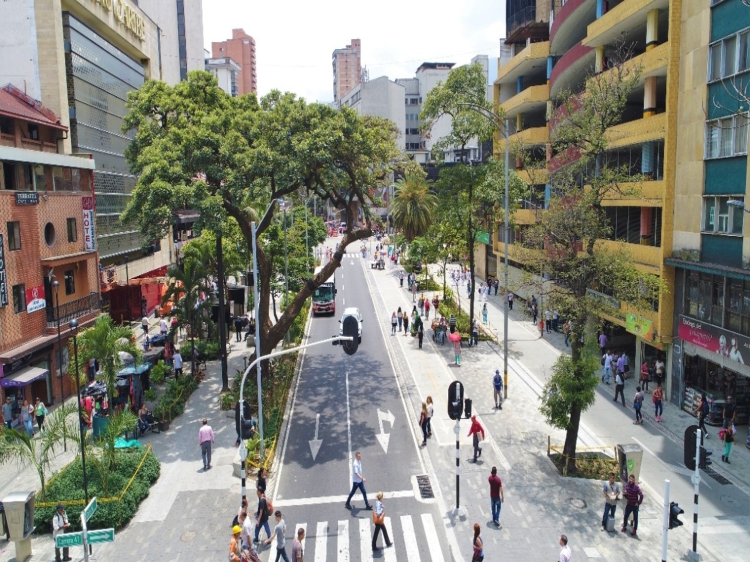 Webp.net-resizeimage (3)